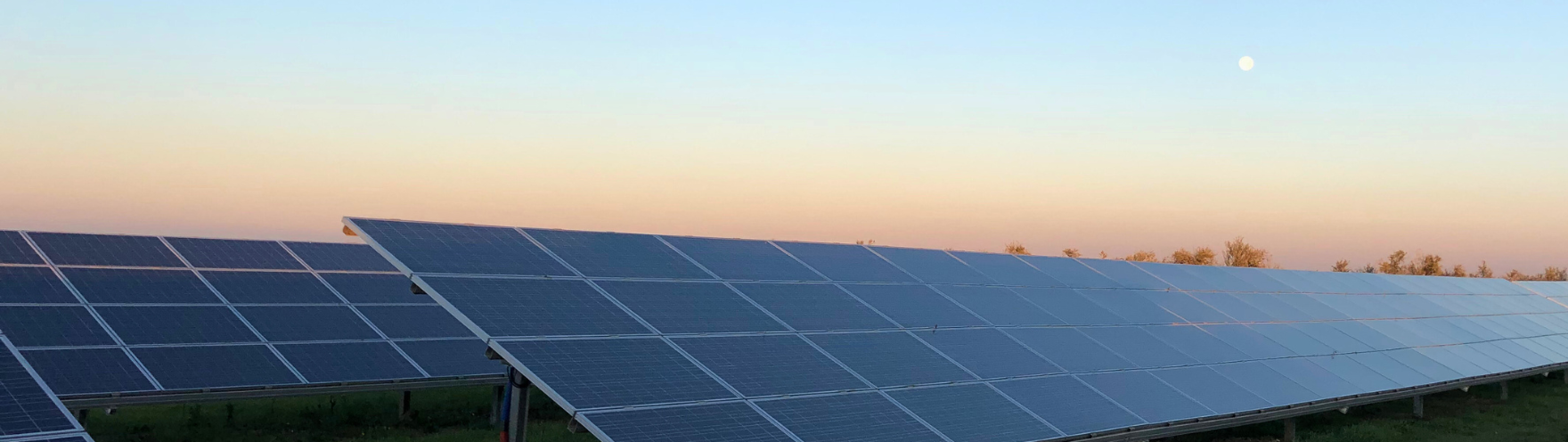 NA MODULE LIBRARY PORTAL