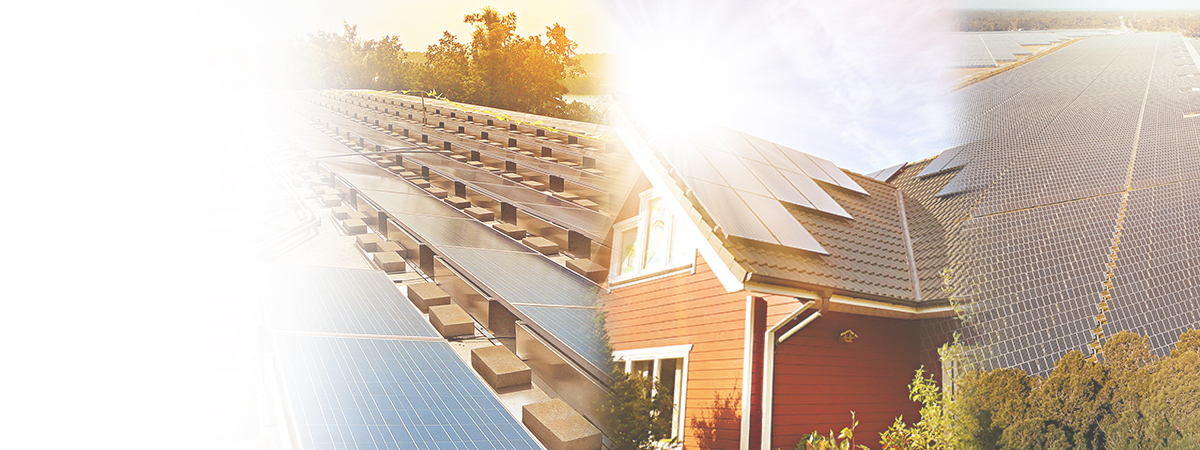 AUTHORIZED DISTRIBUTORS