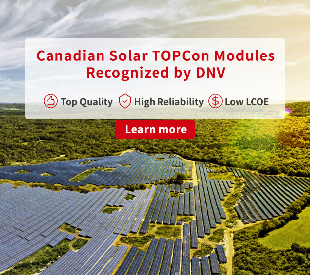 Pannello fotovoltaico da 225Wp in silicio policristallino Canadian Solar